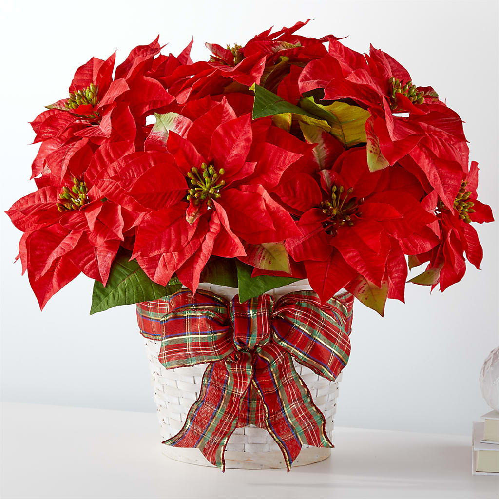 Happiest Holidays Poinsettia – South-east Flowers, Los Angeles CA