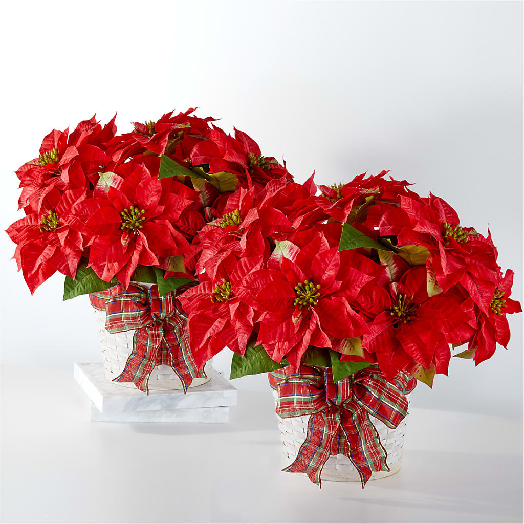 Happiest Holidays Poinsettia Bundle – South-east Flowers, Los Angeles CA
