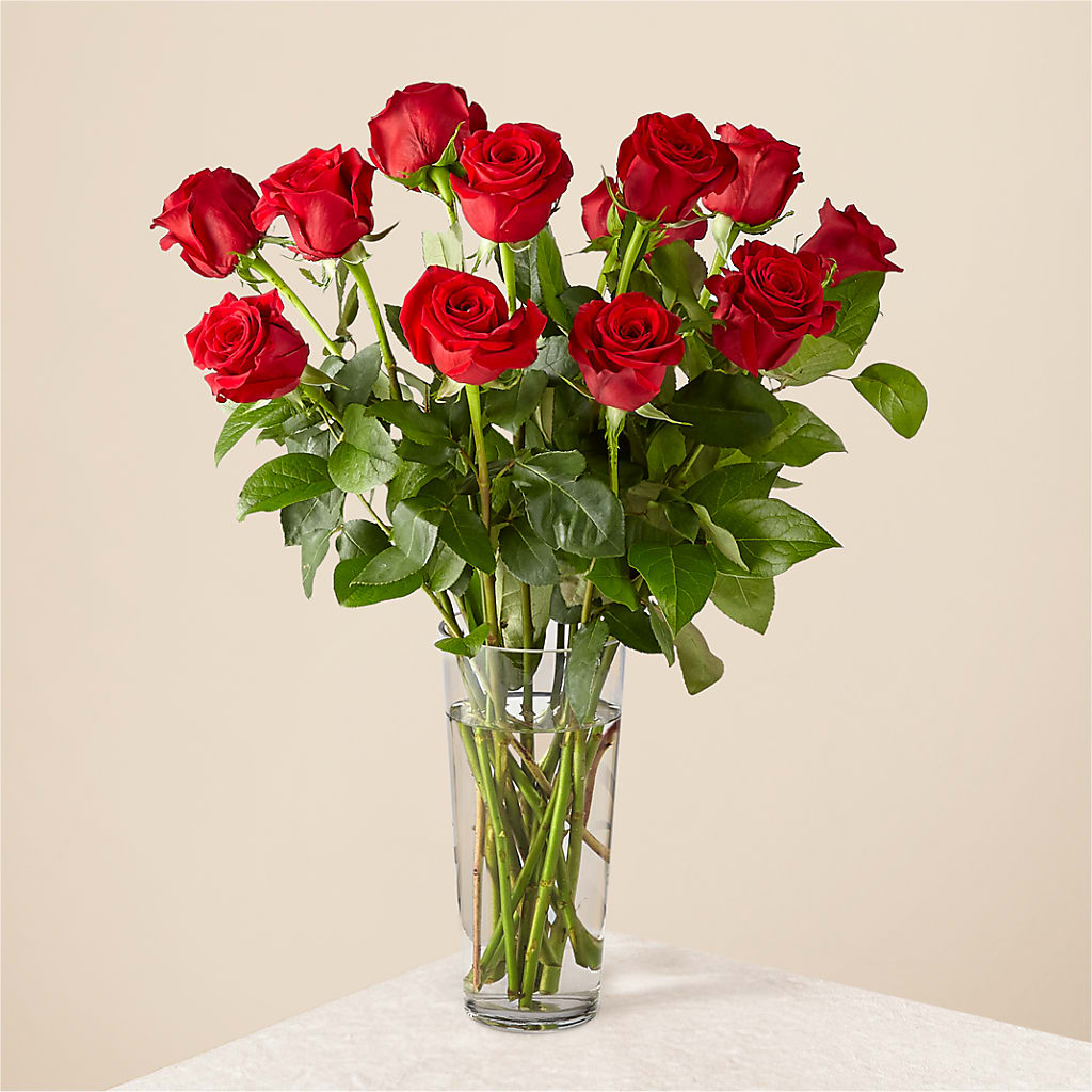 Long Stem Red Rose Bouquet – South-east Flowers, Los Angeles CA