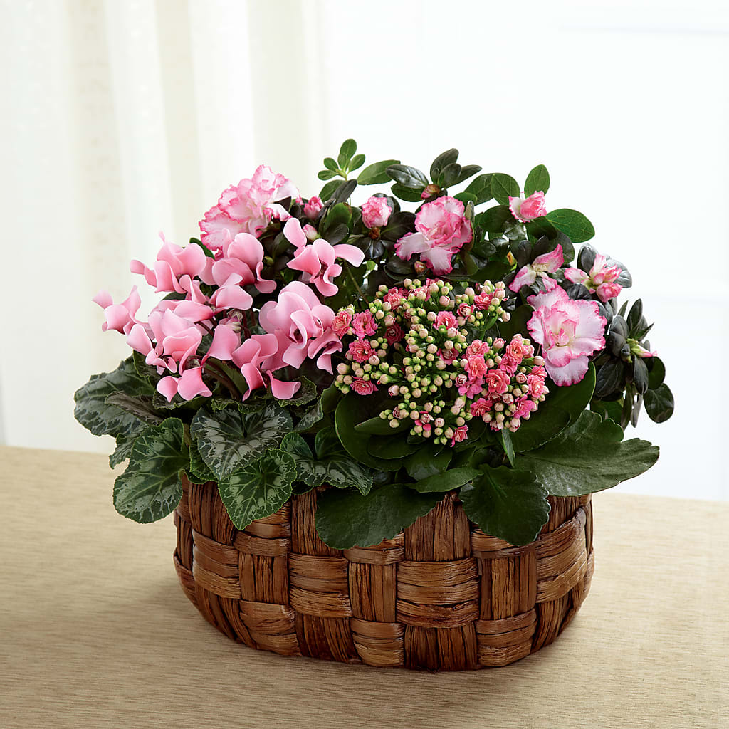 Pink Assortment – South-east Flowers, Los Angeles CA