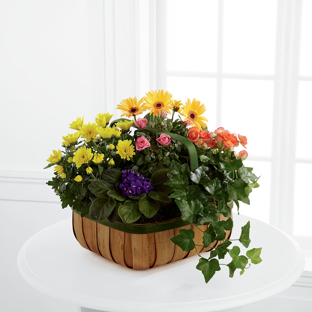 Gentle Blossoms Basket – South-east Flowers, Los Angeles CA