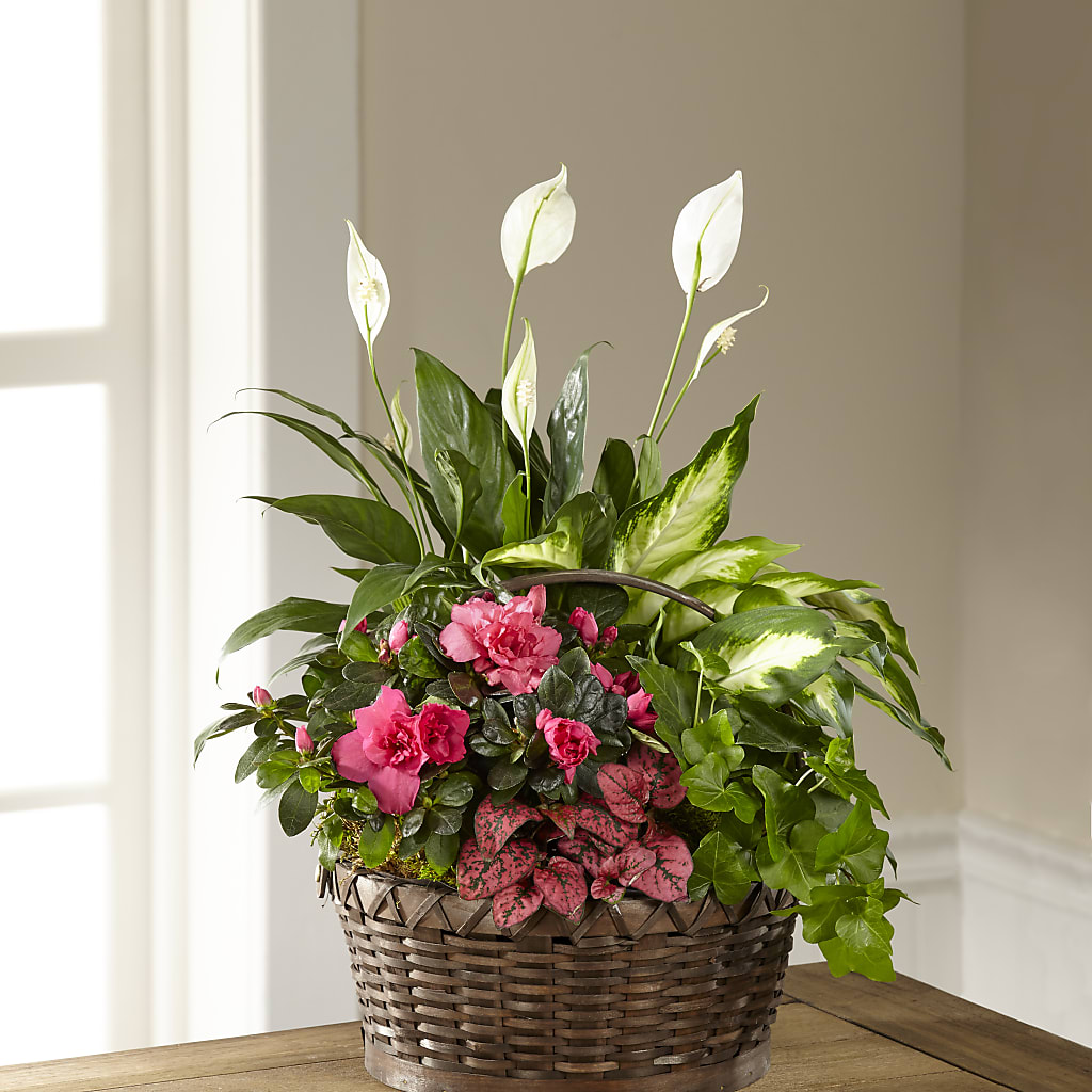 Dream in Pink Dishgarden – South-east Flowers, Los Angeles CA
