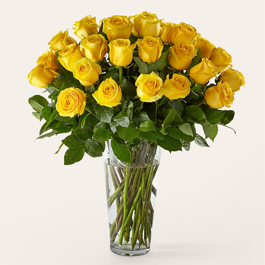 Long Stem Yellow Rose Bouquet – South-east Flowers, Los Angeles CA