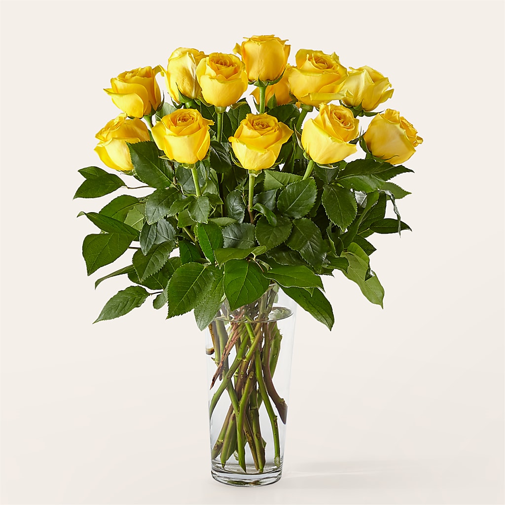 Long Stem Yellow Rose Bouquet – South-east Flowers, Los Angeles CA