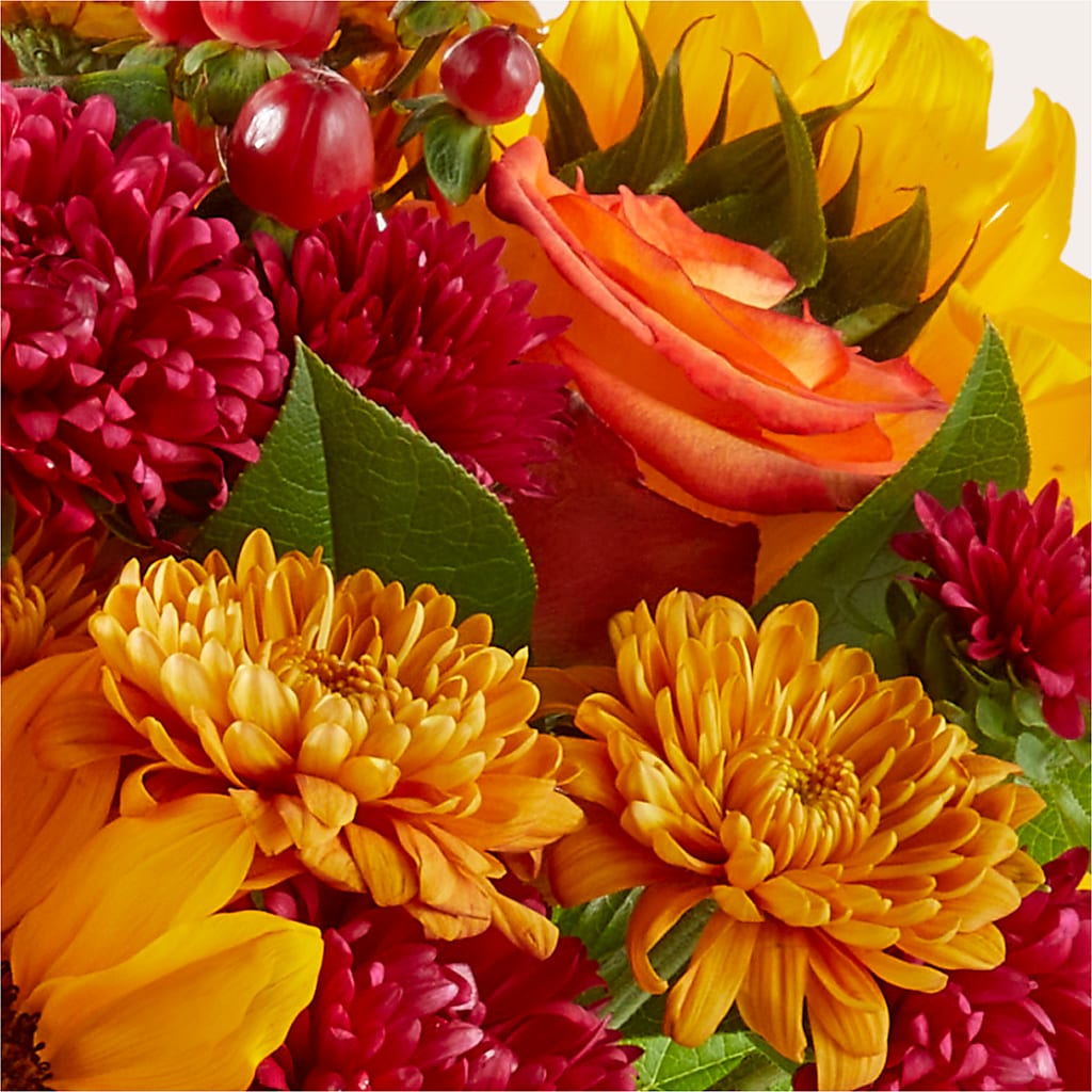 Sweater Season - A Florist Original – South-east Flowers, Los Angeles CA