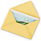 Greeting Card – South-east Flowers, Los Angeles CA