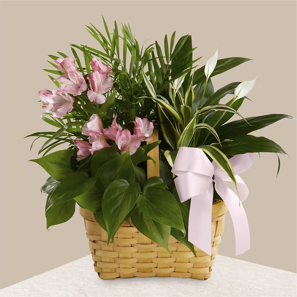 Living Spirit Dishgarden – South-east Flowers, Los Angeles CA