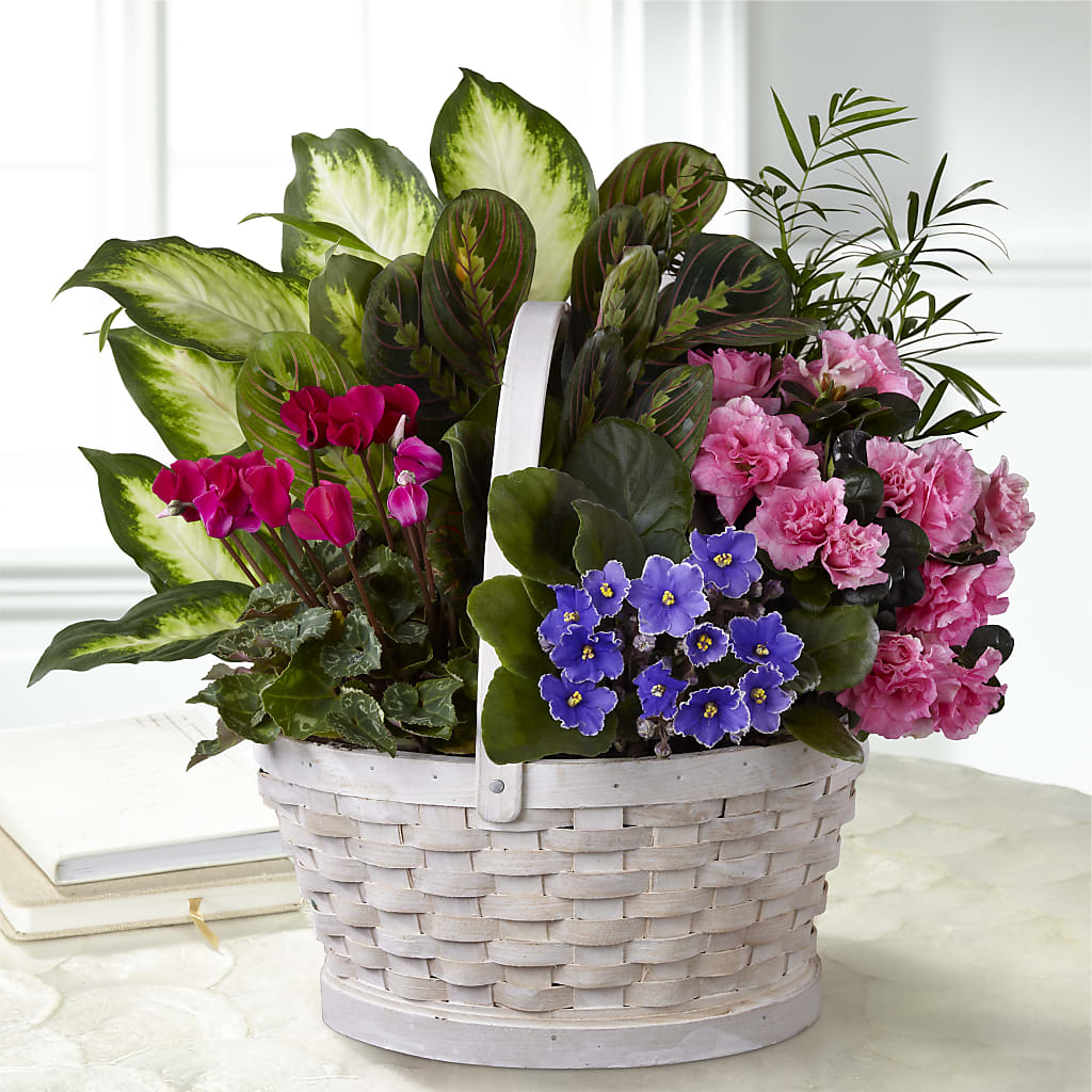 Peaceful Garden Planter – South-east Flowers, Los Angeles CA