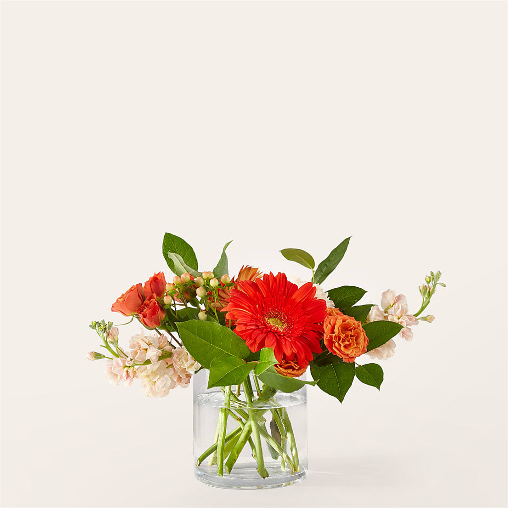 Paloma Please Bouquet – South-east Flowers, Los Angeles CA