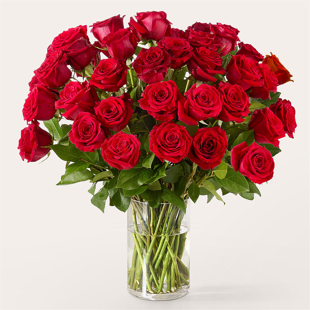 The One Red Rose Bouquet – South-east Flowers, Los Angeles CA
