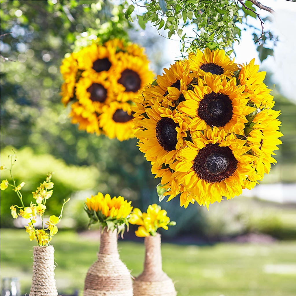 Sublime Garden Hanging Arrangement – South-east Flowers, Los Angeles CA