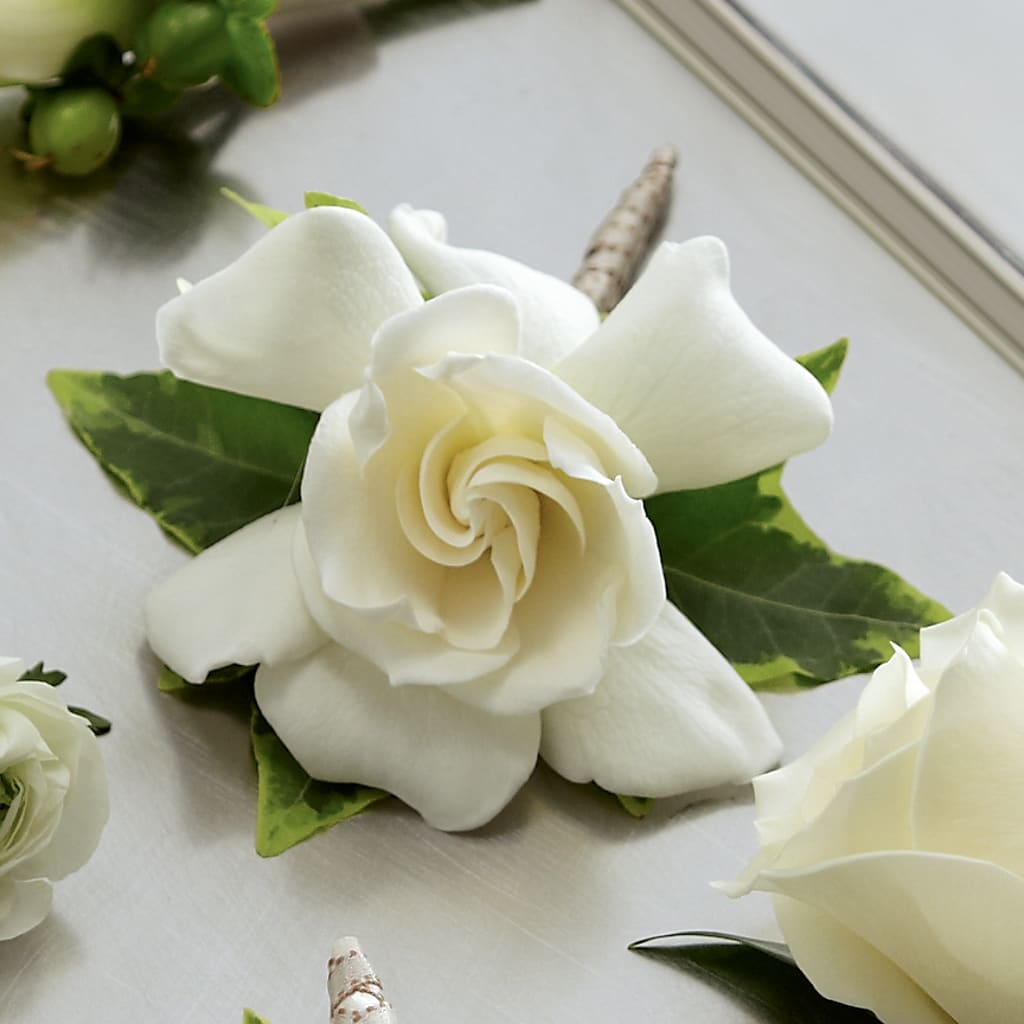 Gardenia Boutonniere – South-east Flowers, Los Angeles CA