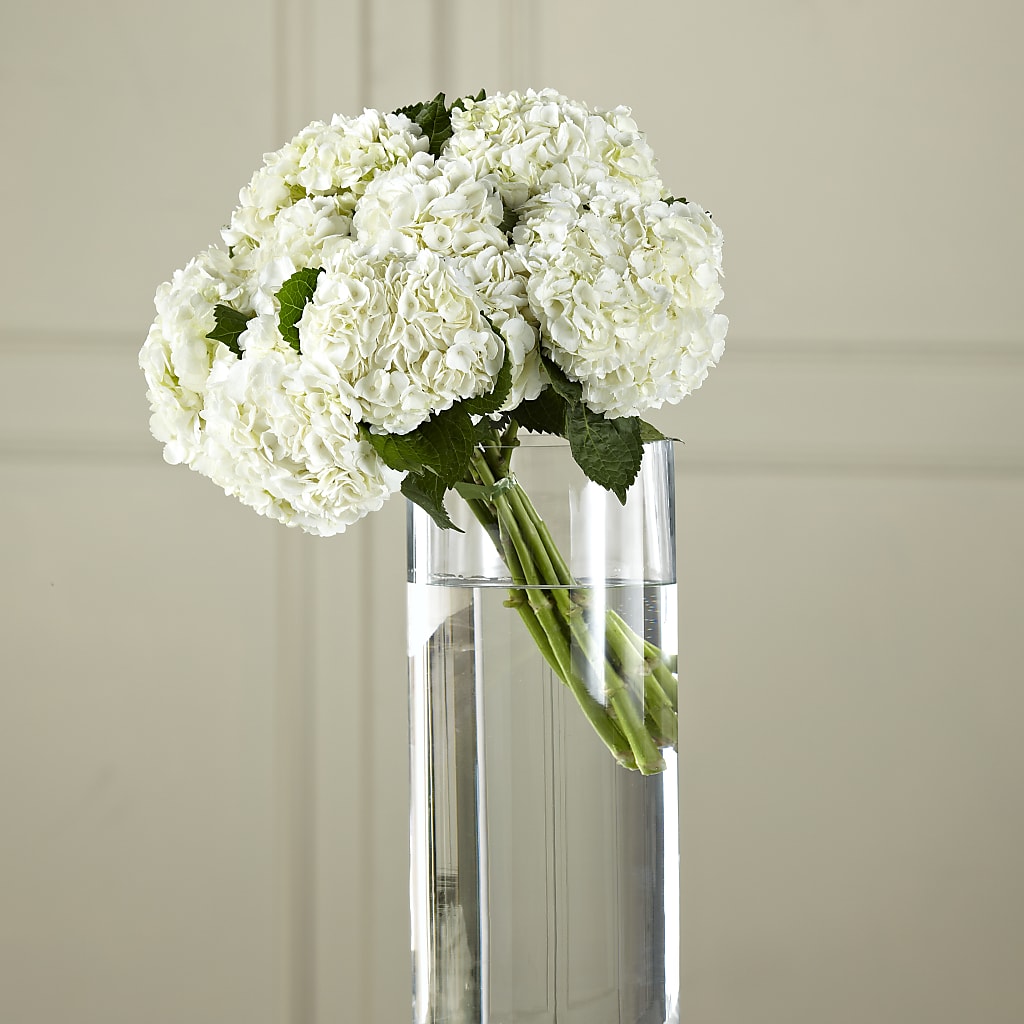 White Hydrangea Hand-Tied Bouquet – South-east Flowers, Los Angeles CA