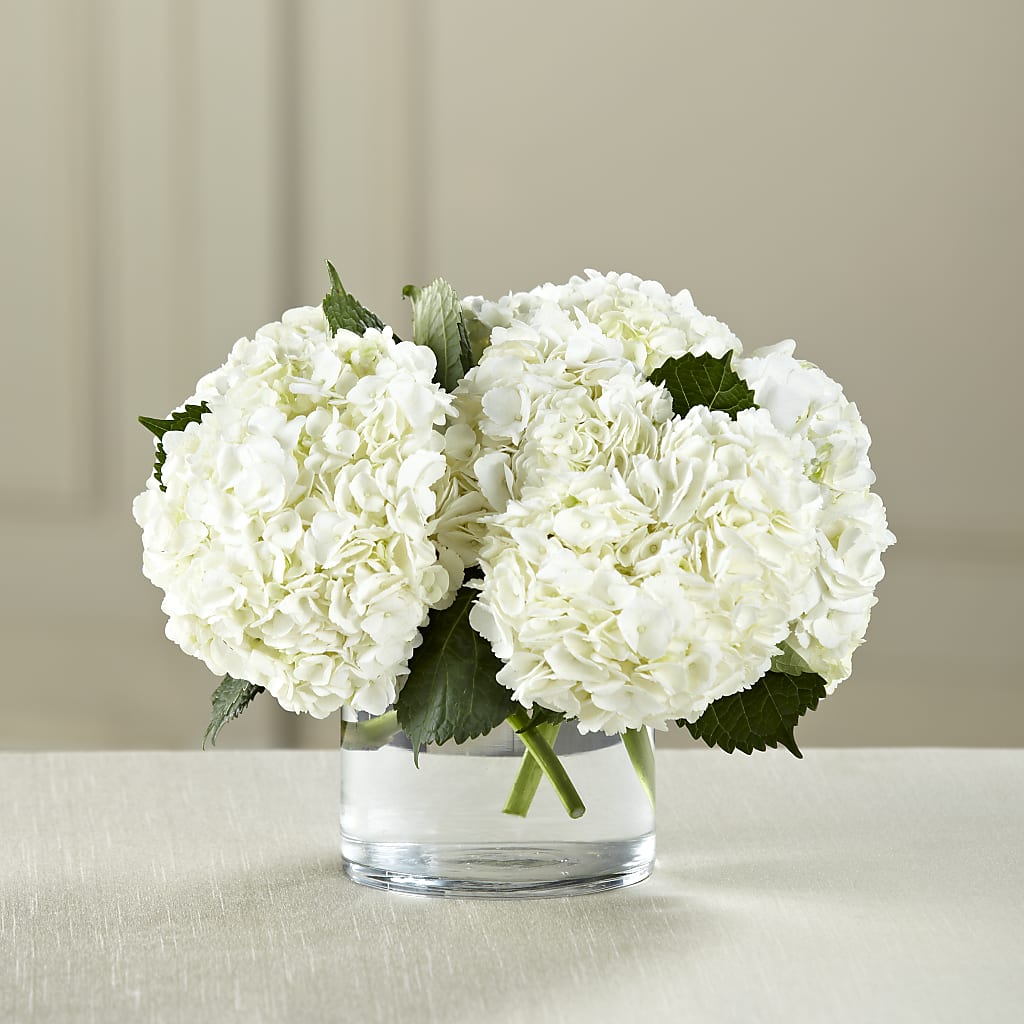 White Hydrangea Bouquet – South-east Flowers, Los Angeles CA