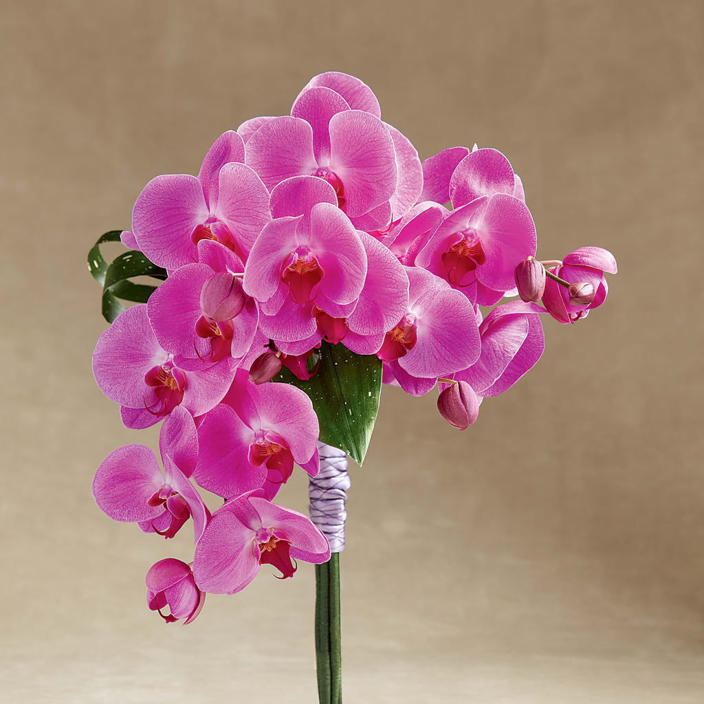 Glorious Bouquet – South-east Flowers, Los Angeles CA