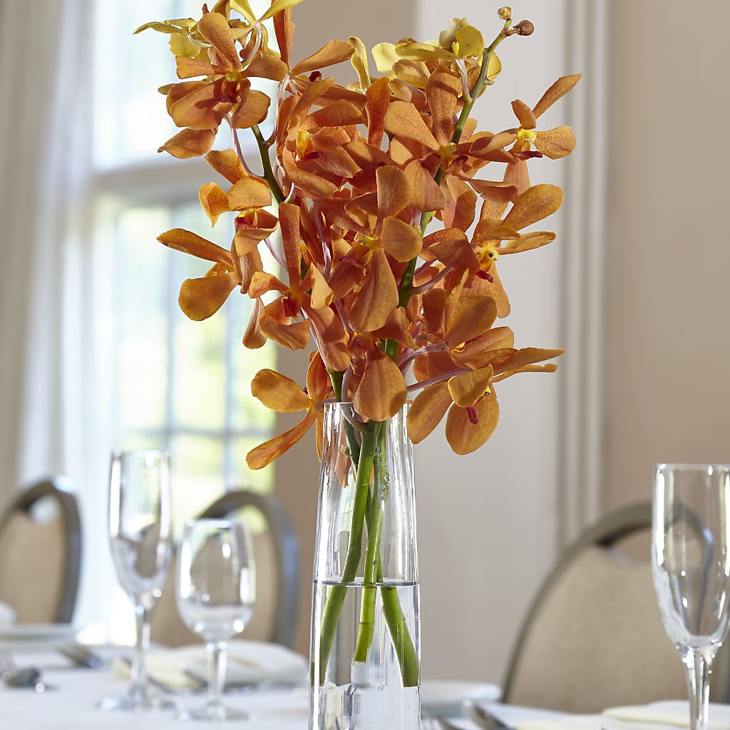 Orange Mokara Bud Vase – South-east Flowers, Los Angeles CA