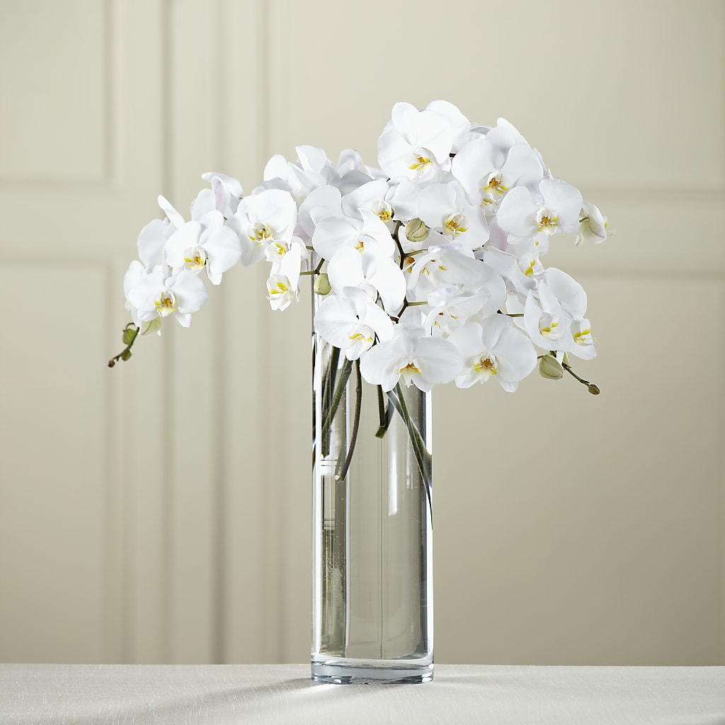 White Phalaenopsis Bouquet – South-east Flowers, Los Angeles CA