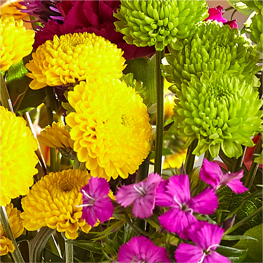Bold & Bright – A Florist Original –  South-east Flowers, Los Angeles CA