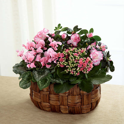 Pink Assortment –  South-east Flowers, Los Angeles CA