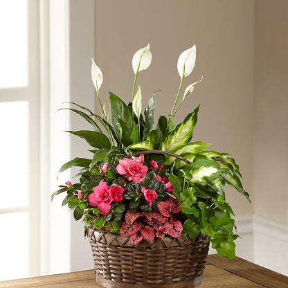 Dream in Pink Dishgarden –  South-east Flowers, Los Angeles CA