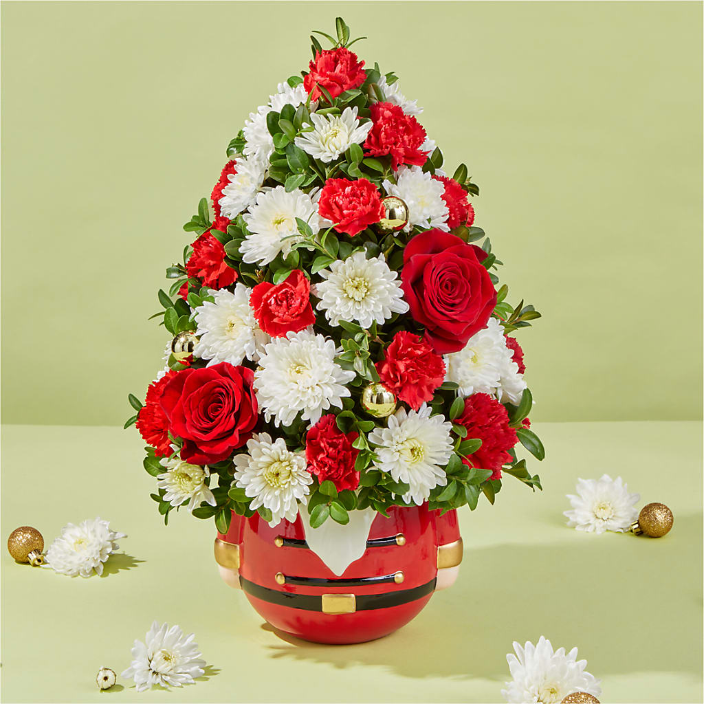Royal Nutcracker Tree –  South-east Flowers, Los Angeles CA