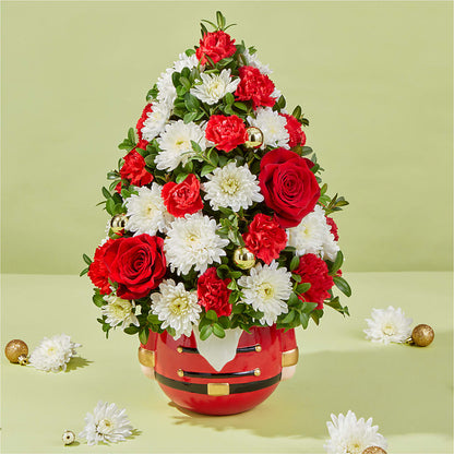 Royal Nutcracker Tree –  South-east Flowers, Los Angeles CA