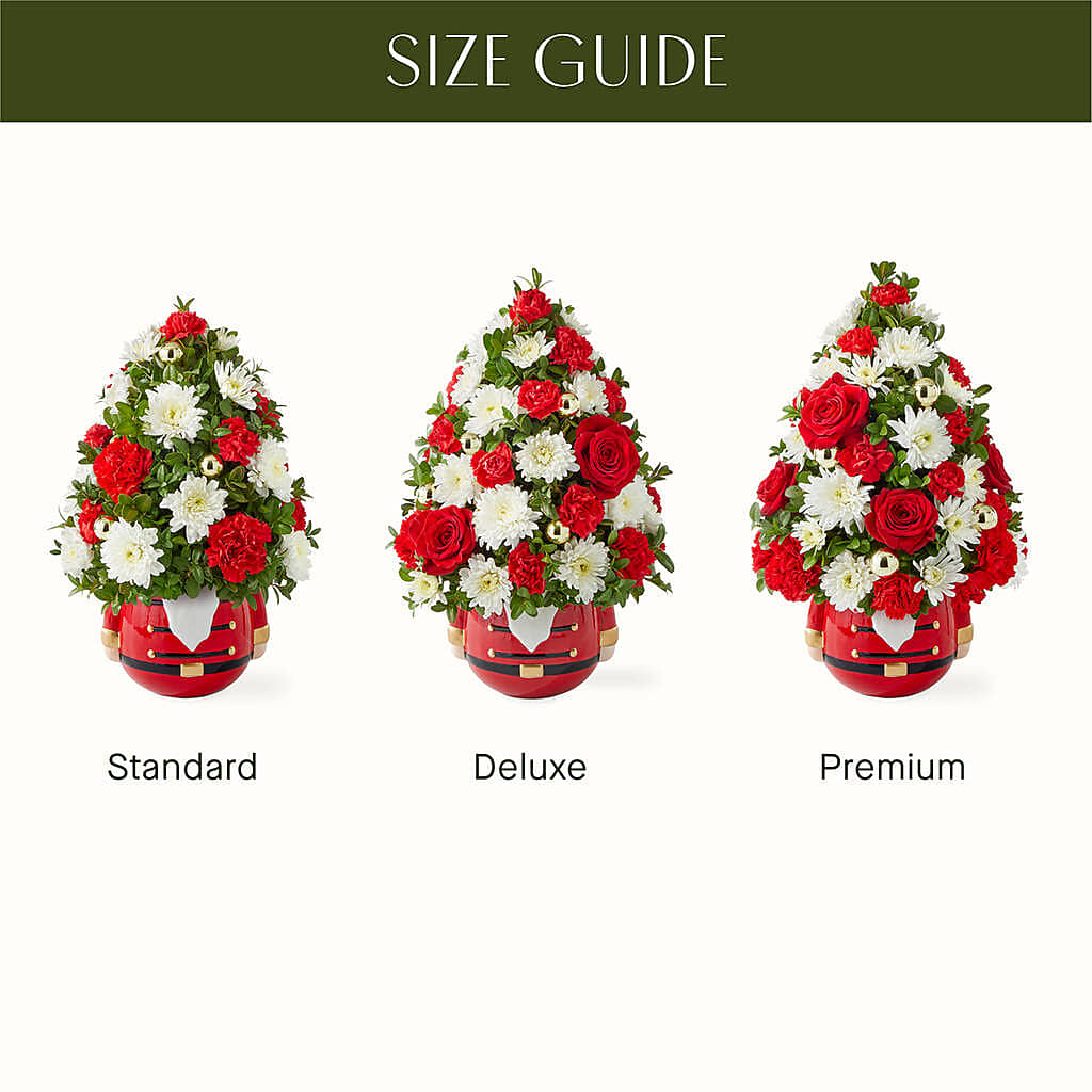 Royal Nutcracker Tree –  South-east Flowers, Los Angeles CA