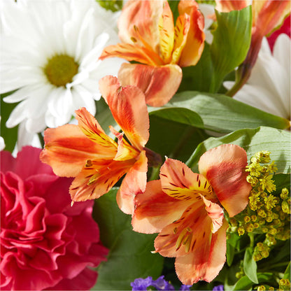 Oopsie Daisy Box Bouquet –  South-east Flowers, Los Angeles CA
