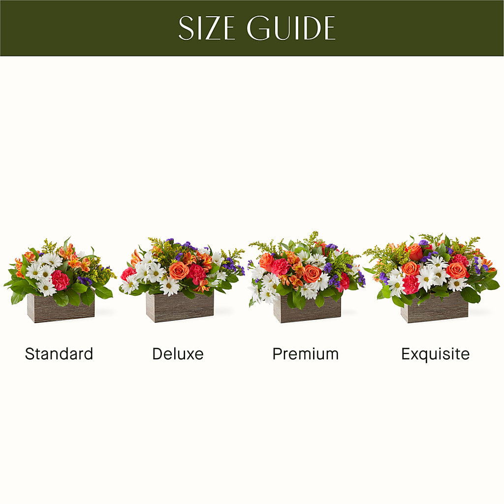 Oopsie Daisy Box Bouquet –  South-east Flowers, Los Angeles CA