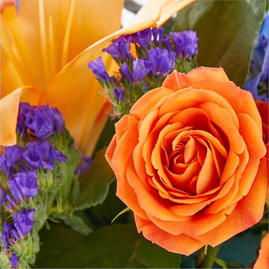 Radiant Citrus Box Bouquet –  South-east Flowers, Los Angeles CA