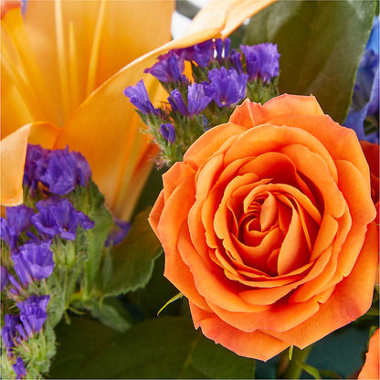 Radiant Citrus Box Bouquet –  South-east Flowers, Los Angeles CA