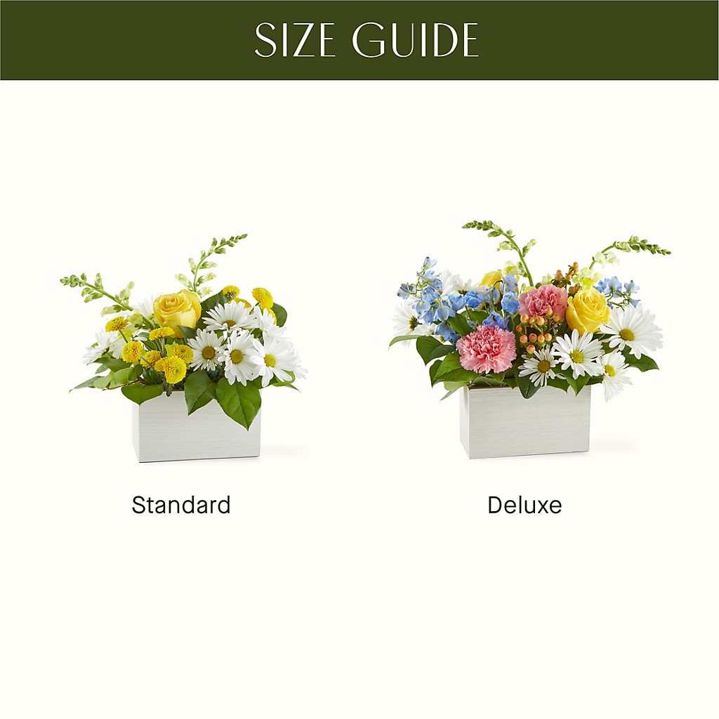 Sun Salutation Box Bouquet –  South-east Flowers, Los Angeles CA