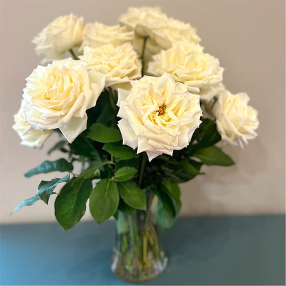 Long Stem Yellow Rose Bouquet –  South-east Flowers, Los Angeles CA