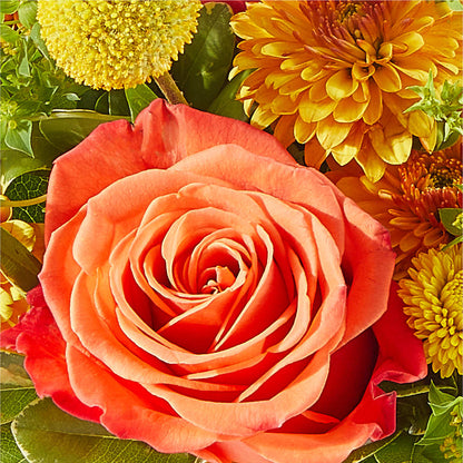 Gourdgeous Pumpkin –  South-east Flowers, Los Angeles CA