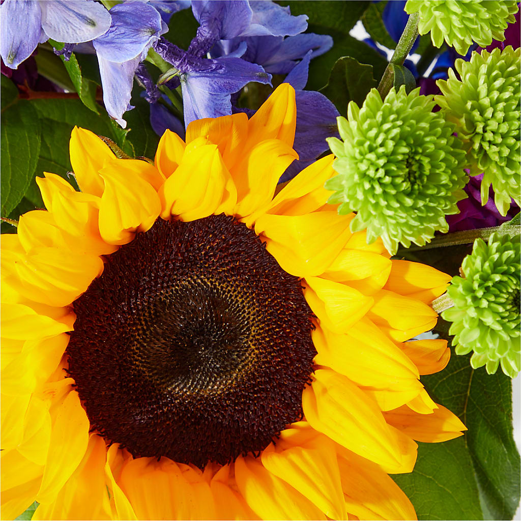 Catching Rays Bouquet –  South-east Flowers, Los Angeles CA