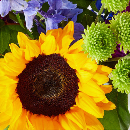 Catching Rays Bouquet –  South-east Flowers, Los Angeles CA