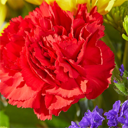 Brighter Days Bouquet –  South-east Flowers, Los Angeles CA
