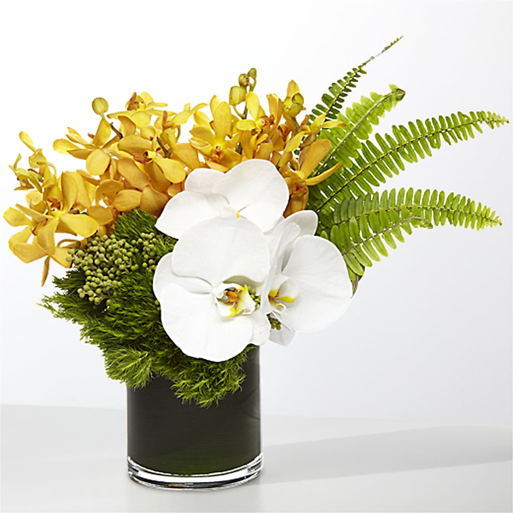 The Tropics –  South-east Flowers, Los Angeles CA