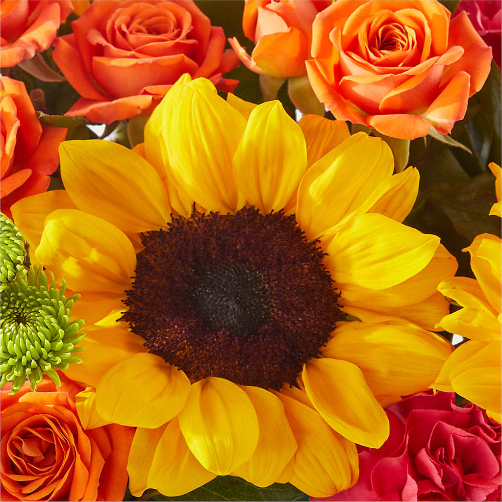 Sun-drenched Blooms Box Bouquet –  South-east Flowers, Los Angeles CA
