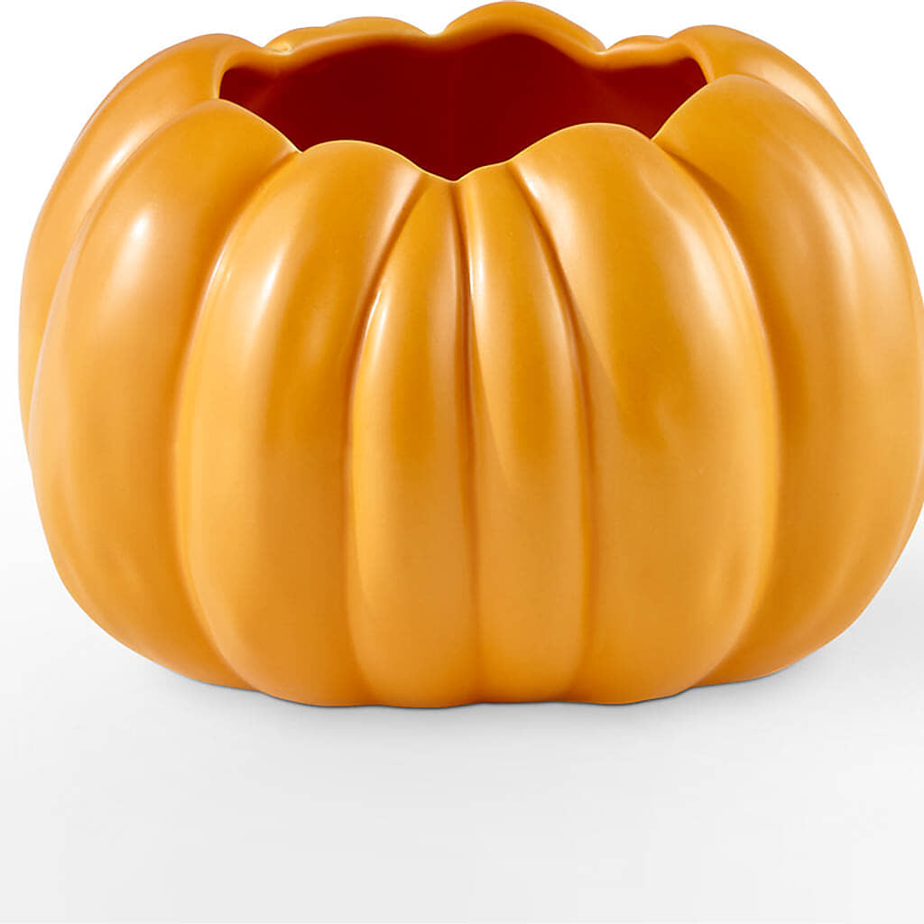 Golden Gourd Pumpkin Bouquet –  South-east Flowers, Los Angeles CA
