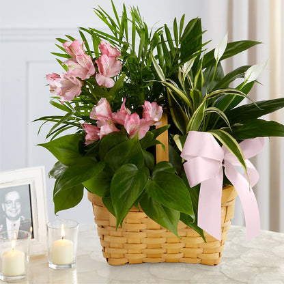 Living Spirit Dishgarden –  South-east Flowers, Los Angeles CA