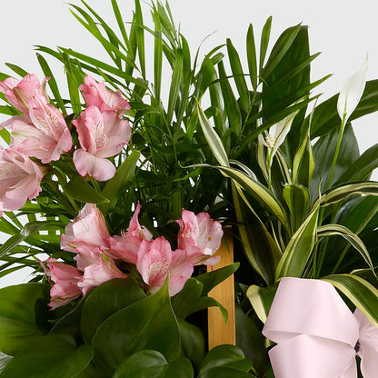 Living Spirit Dishgarden –  South-east Flowers, Los Angeles CA