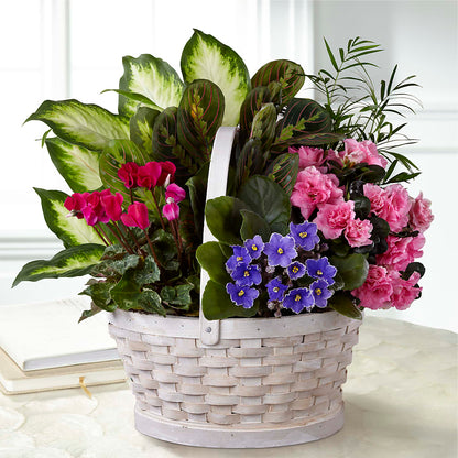 Peaceful Garden Planter –  South-east Flowers, Los Angeles CA