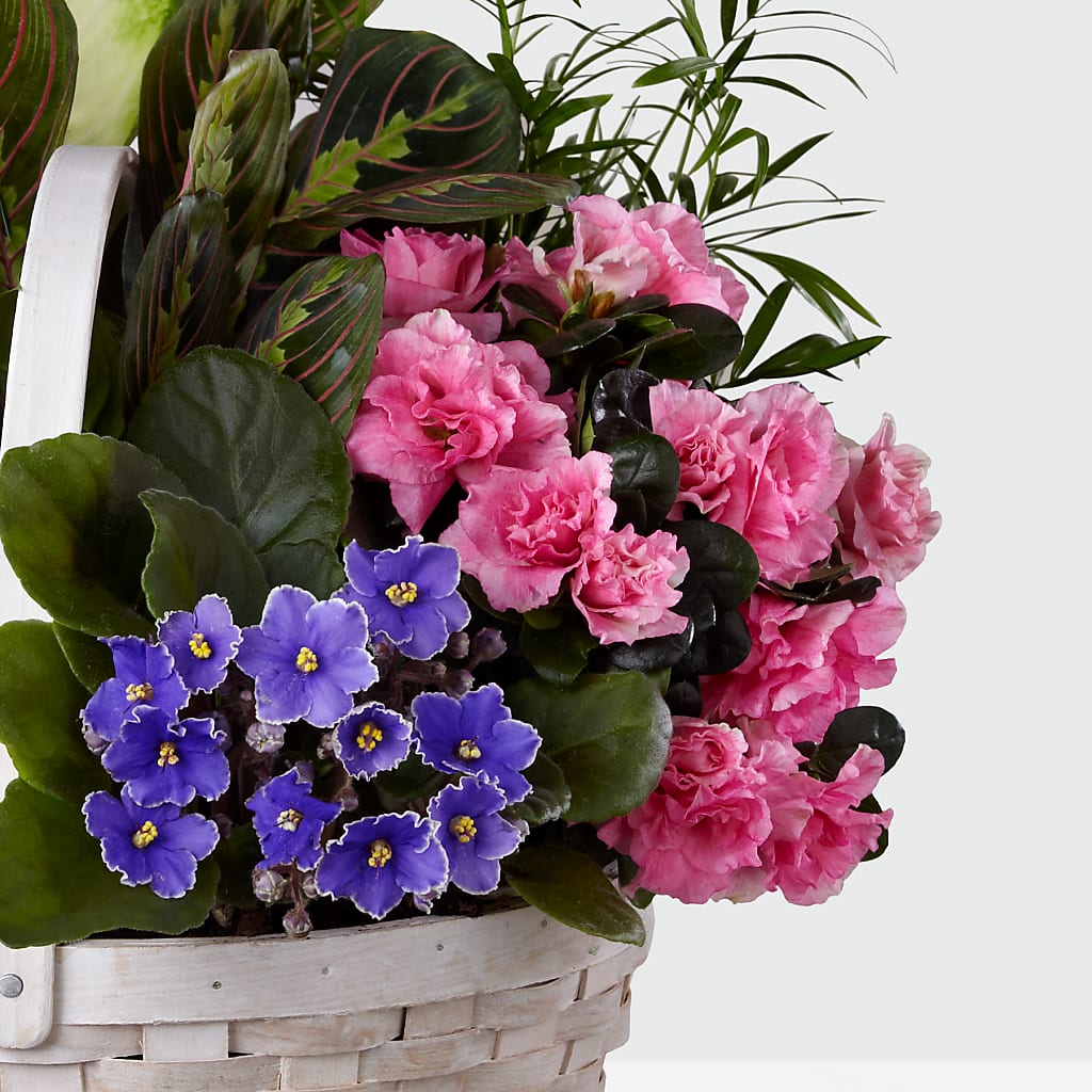 Peaceful Garden Planter –  South-east Flowers, Los Angeles CA