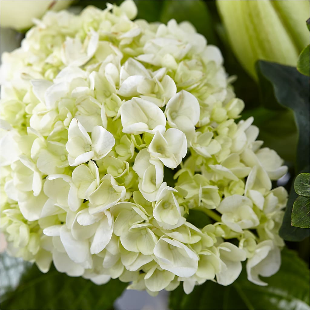 Classic Ivory – A Florist Original –  South-east Flowers, Los Angeles CA