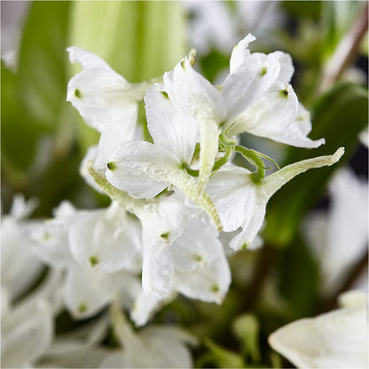 Classic Ivory – A Florist Original –  South-east Flowers, Los Angeles CA