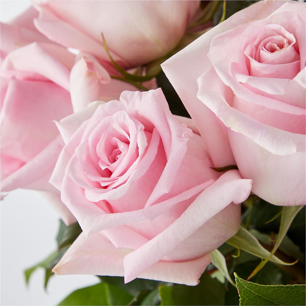 Picture Perfect Pink Rose Bouquet –  South-east Flowers, Los Angeles CA