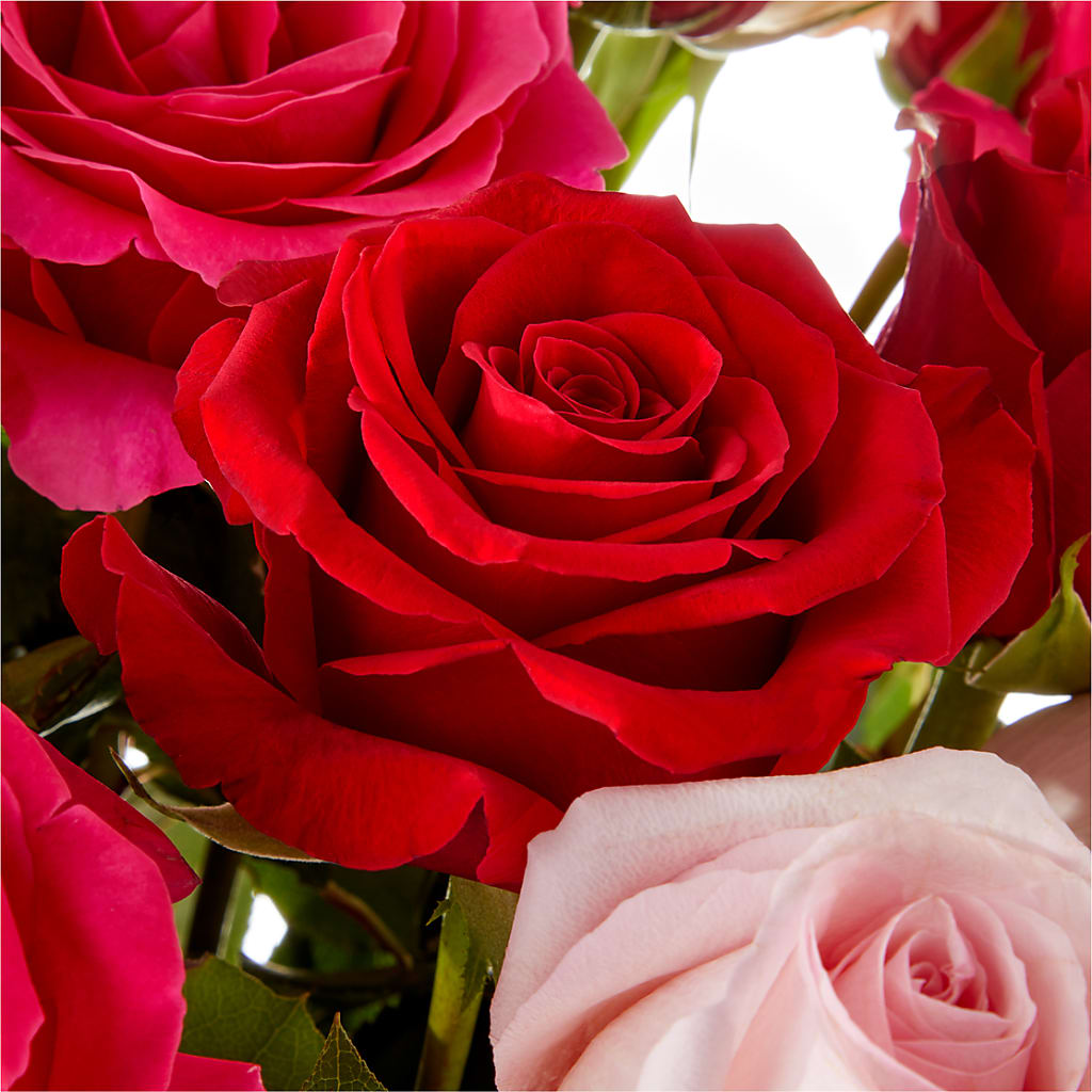 Love Notes Rose Bouquet –  South-east Flowers, Los Angeles CA