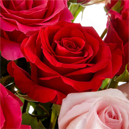 Love Notes Rose Bouquet –  South-east Flowers, Los Angeles CA