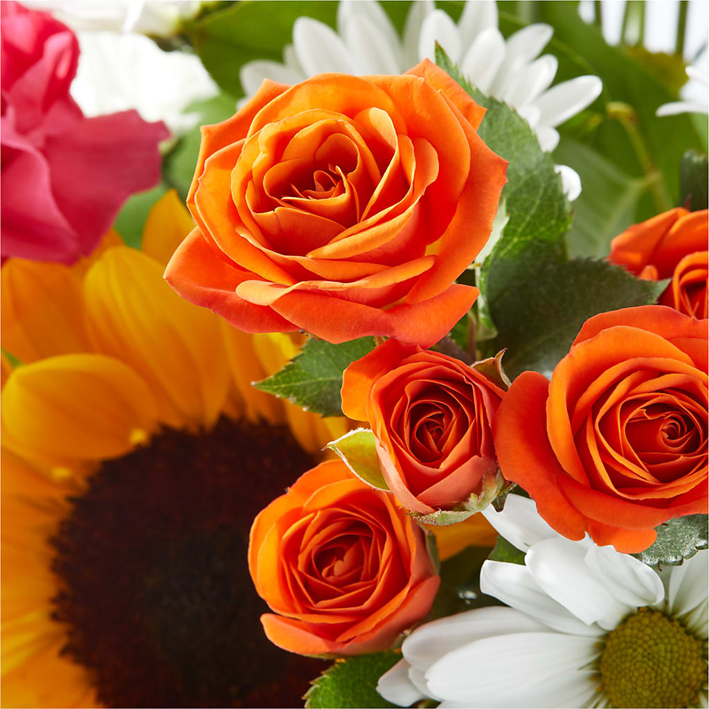 Sun-drenched Blooms Bouquet –  South-east Flowers, Los Angeles CA